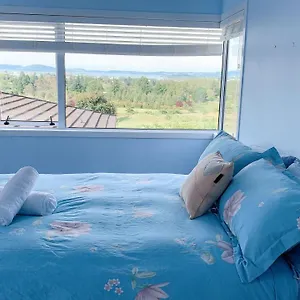 Panoramic View Without A Kitchen Rotorua